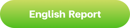 English version report